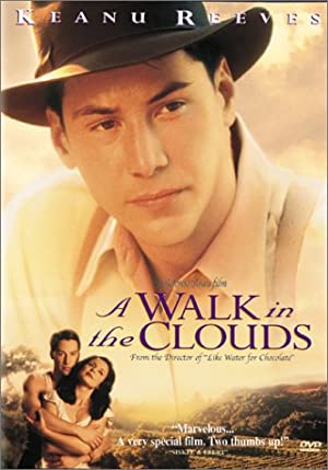 A Walk in the Clouds / გასეირნება ღრუბლებში