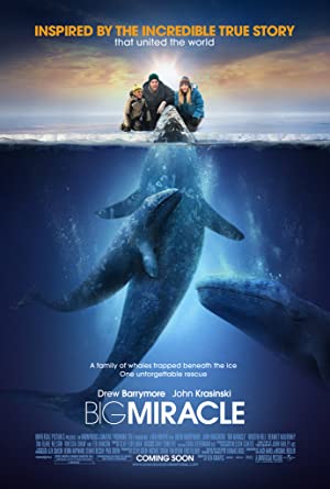 Big Miracle / დიდი საოცრება