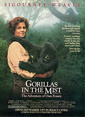 Gorillas in the Mist / გორილები ნისლში