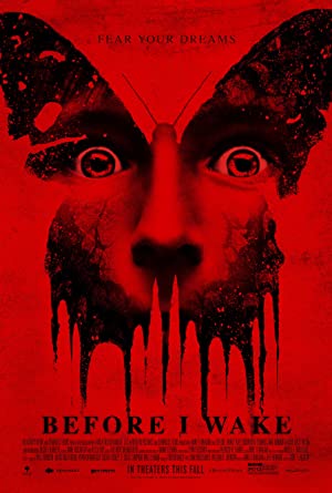 Before I Wake / სანამ გავიღვიძებ