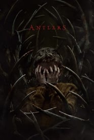 Antlers / ირმის რქები