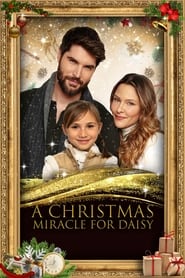 A Christmas Miracle for Daisy / საშობაო სასწაული დეიზისთვის