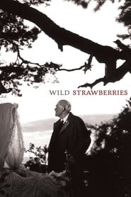 Wild Strawberries / მარწყვის მდელო