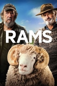ცხვრები / Rams