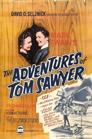 The Adventures of Tom Sawyer / ტომ სოიერი