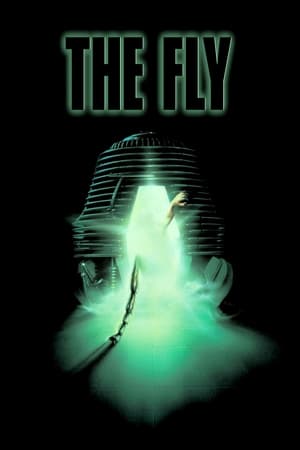 The Fly / ბუზი