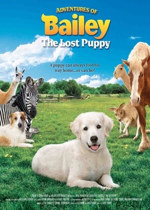 Adventures of Bailey: The Lost Puppy / ბეილის თავგადასავალი: დაკარგული ლეკვი
