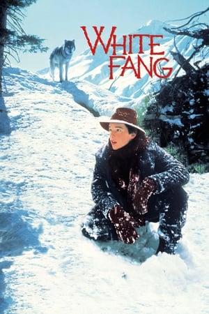 White Fang / თეთრი ეშვი
