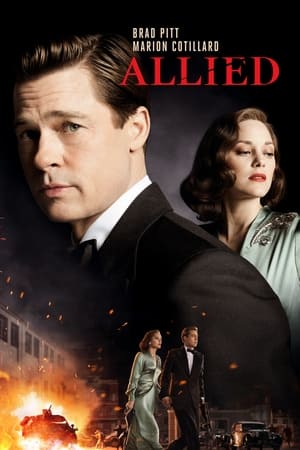 Allied / მოკავშირეები