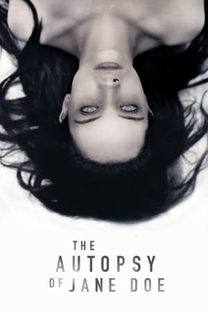The Autopsy of Jane Doe / ჯეინ დოუს გაკვეთა