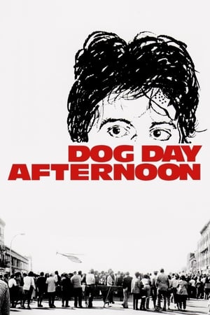 Dog Day Afternoon / ძაღლური შუადღე
