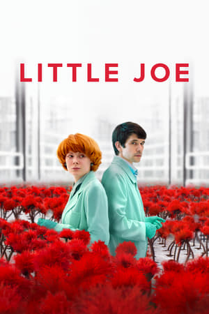 Little Joe / პატარა ჯო