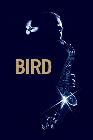 Bird / ჩიტი