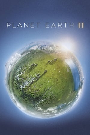 Planet Earth II / პლანეტა დედამიწა II