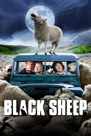 Black Sheep / შავი ცხვარი