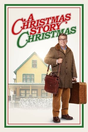 A Christmas Story Christmas / საშობაო ისტორია 3