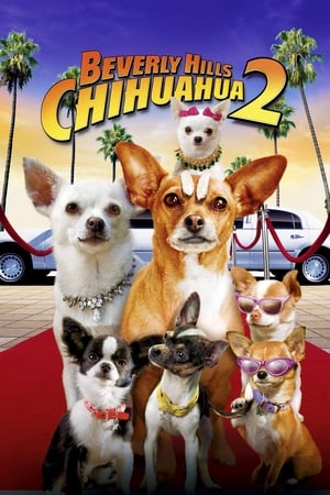 Beverly Hills Chihuahua 2 / ჩიხუახუა ბევერლი ჰილზიდან 2