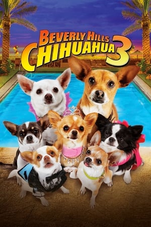 Beverly Hills Chihuahua 3: Viva la Fiesta! / ჩიხუახუა ბევერლი ჰილზიდან 3