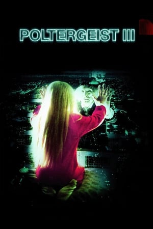 Poltergeist III / პოლტერგეისტი 3