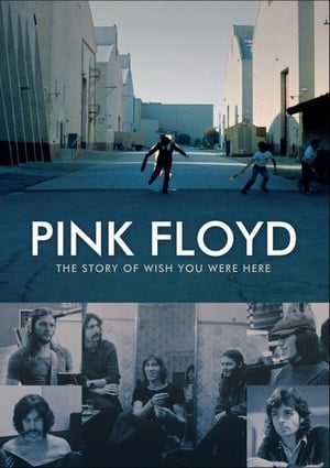 Pink Floyd : The Story of Wish You Were Here / პინკ ფლოიდი - მინდა რომ აქ იყო