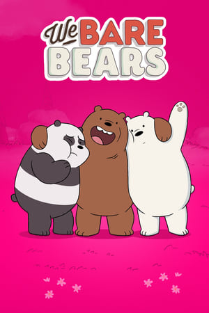 We Bare Bears / ჩვენ ჩვეულებრივი დათვები ვართ