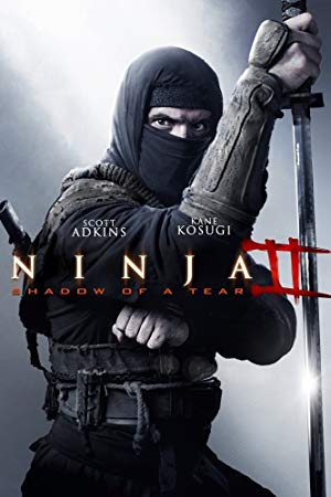 Ninja: Shadow of a Tear / ნინძა 2