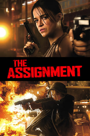 The Assignment / მისია