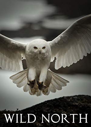 Wild North / ველური ჩრდილოეთი