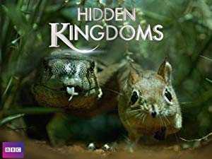 Hidden Kingdoms / დაფარული სამეფოები