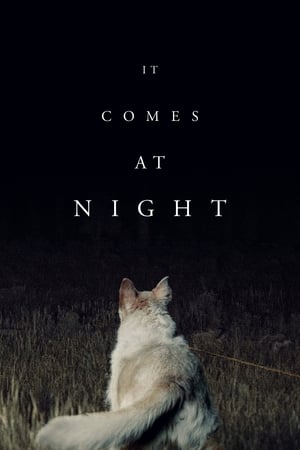 It Comes at Night / ის მოდის ღამით
