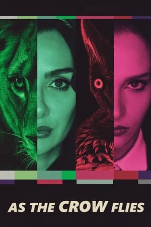 As the Crow Flies / სწორხაზოვანი ფრენა