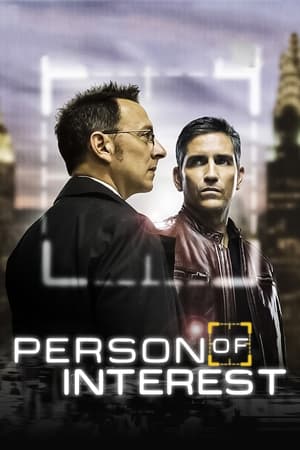 Person of Interest / ინტერესის ობიექტი