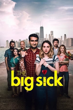 The Big Sick / დიდი ავადმყოფობა