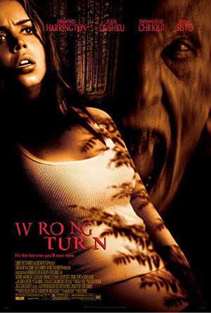 Wrong Turn / მცდარი შესახვევი