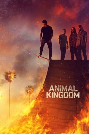 Animal Kingdom / ცხოველთა სამეფო
