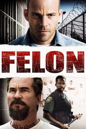 Felon / ბოროტმოქმედი
