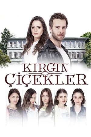 Kirgin cicekler / ობოლი ყვავილი