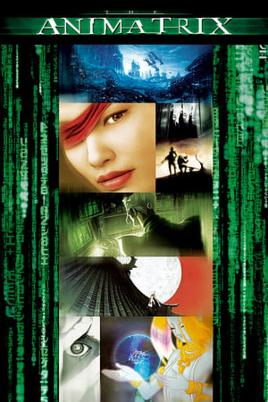 The Animatrix / ანიმატრიცა