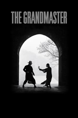 The Grandmaster / ოსტატი