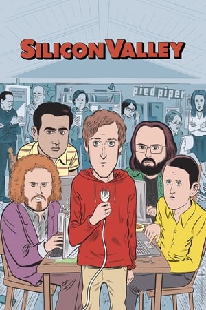 Silicon Valley / სილიკონის ხეობა