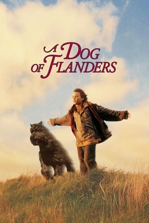 A Dog of Flanders / ფლამანდური ძაღლი
