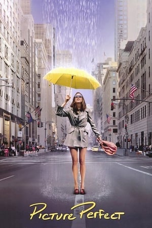 Picture Perfect / იდეალური ფოტო