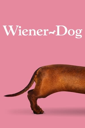 Wiener-Dog / ტაქსა
