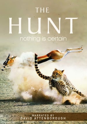 The Hunt / ნადირობა