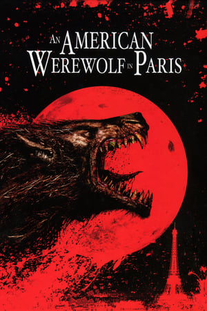 An American Werewolf in Paris / ამერიკელი მაქცია პარიზში