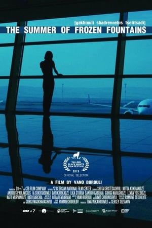 The Summer of Frozen Fountains / გაყინული შადრევნების წელიწადი