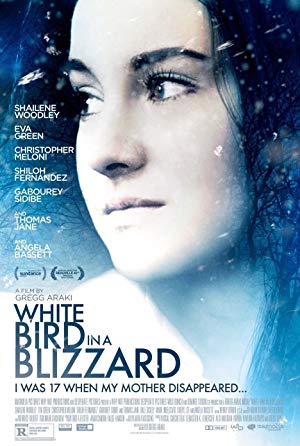 White Bird in a Blizzard / თეთრი ჩიტი ქარბუქში