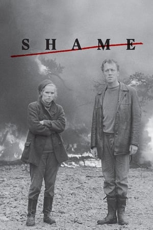 Shame / სირცხვილი