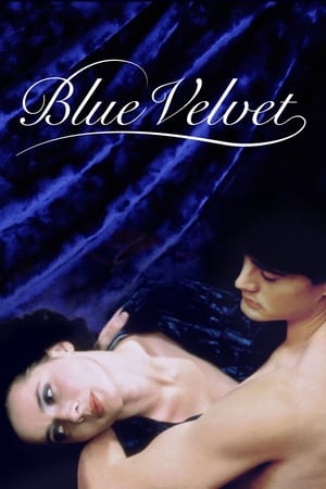 Blue Velvet / ლურჯი ხავერდი